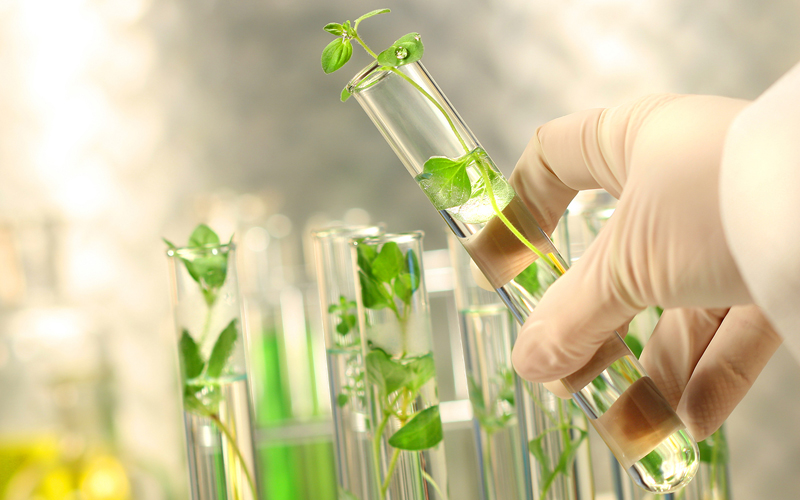 benefits-biobased-chemical
