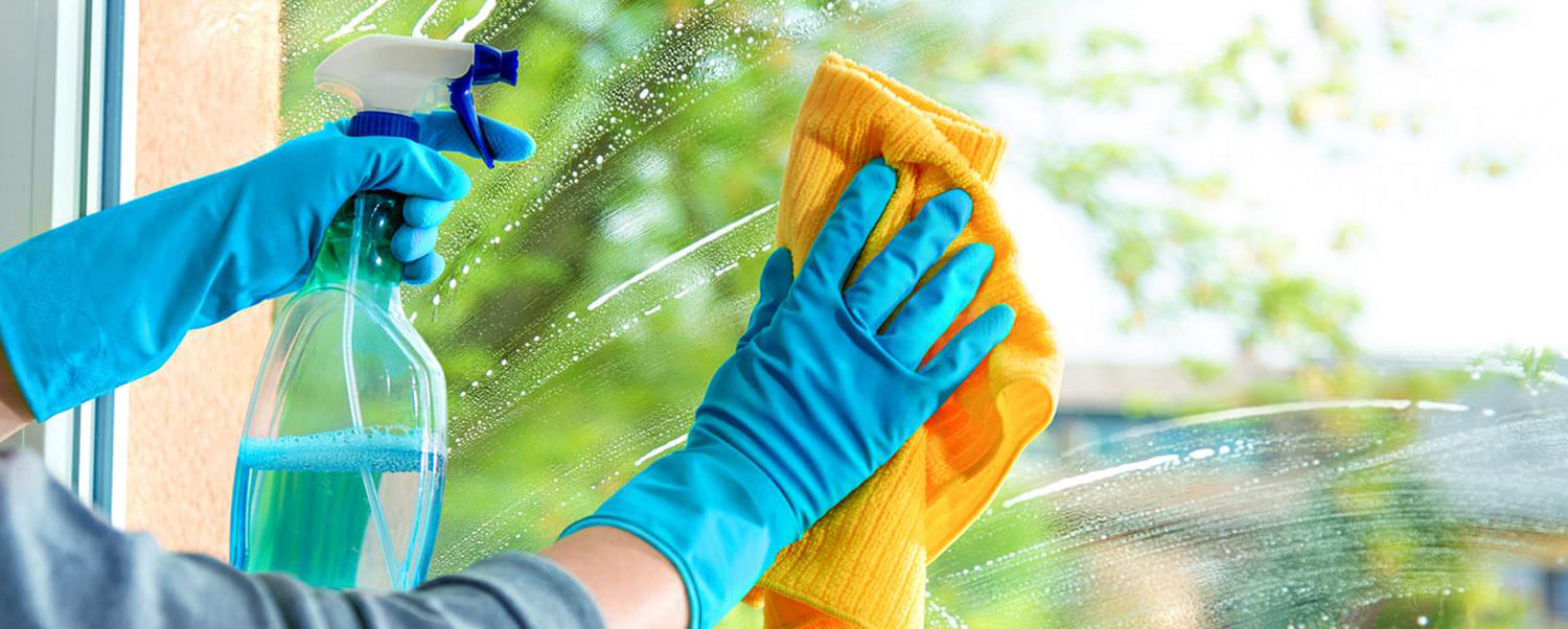 biobased-cleaning